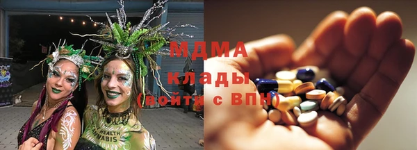 молекула духа Арсеньев