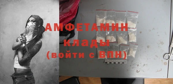 молекула духа Арсеньев