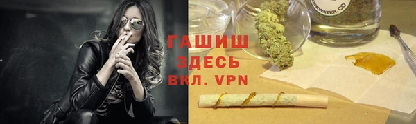 молекула духа Арсеньев