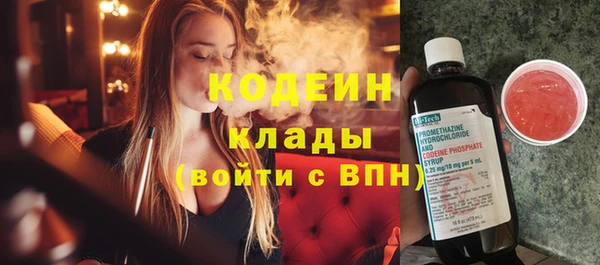 молекула духа Арсеньев